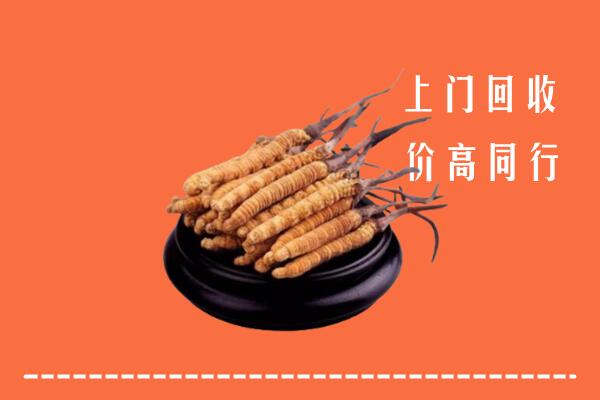 高价求购：公安县回收散虫草