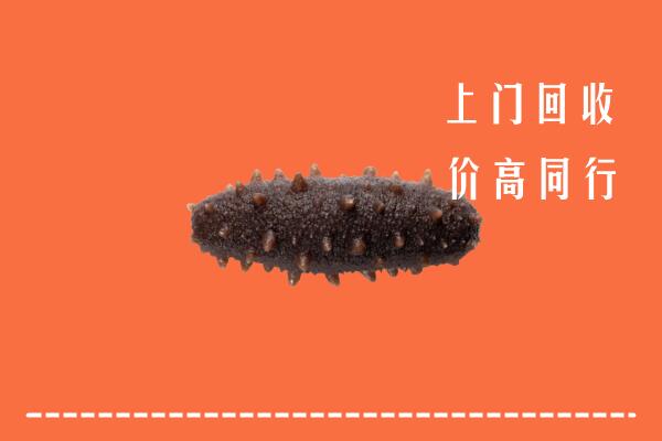 高价求购：公安县回收海参