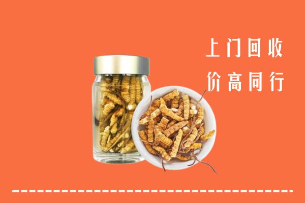 公安县回收冬虫夏草