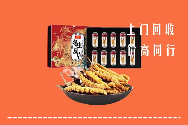 公安县回收虫草